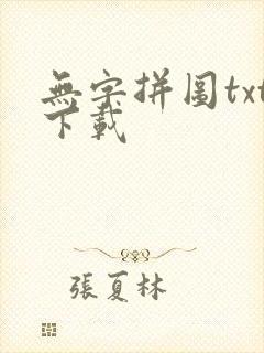 无字拼图txt下载