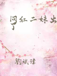 网红二妹出啥事了