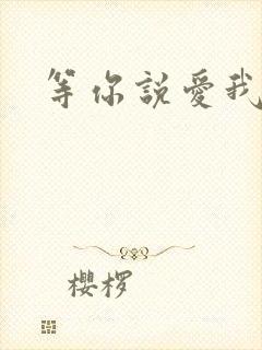 等你说爱我小说
