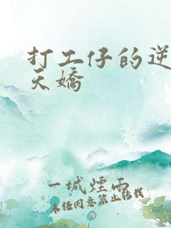 打工仔的逆袭楚天娇