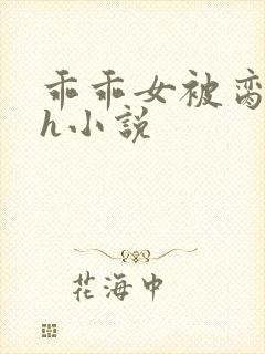 乖乖女被脔日常h小说