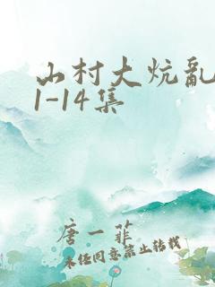 山村大炕乱肉续1-14集