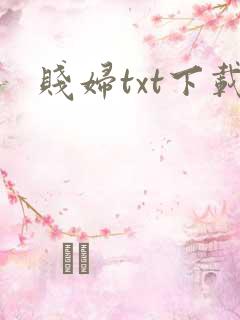贱妇txt下载