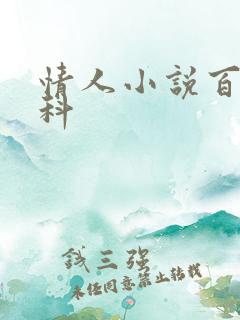 情人小说百度百科