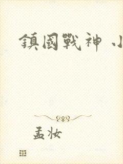 镇国战神 小说