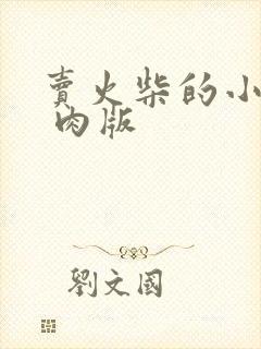 卖火柴的小男孩 肉版