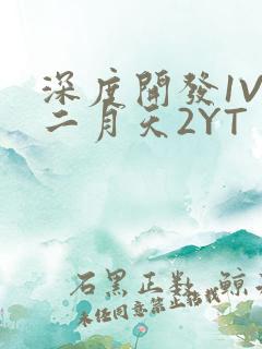 深度开发1V3二月天2YT