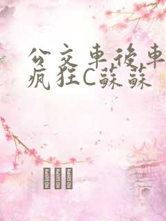 公交车后车座的疯狂C苏苏