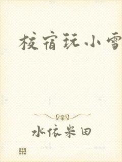校宿玩小雪