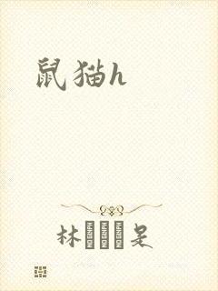 鼠猫h