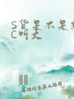 S货是不是想挨C叫大