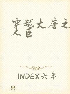 穿越大唐之位极人臣