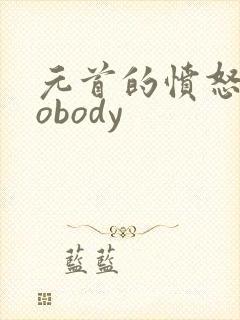 元首的愤怒之nobody