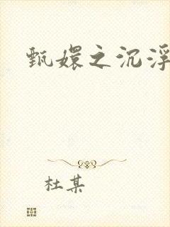 甄嬛之沉浮一生