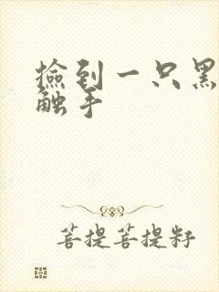 捡到一只黑心小触手