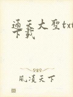 通天大圣txt下载