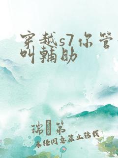 穿越s7你管这叫辅助