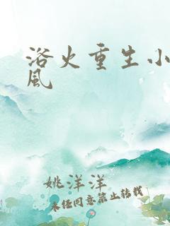 浴火重生小说陈风