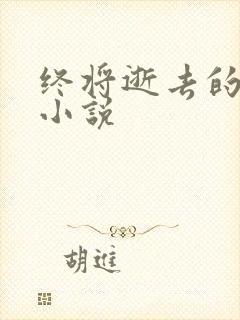 终将逝去的青春小说