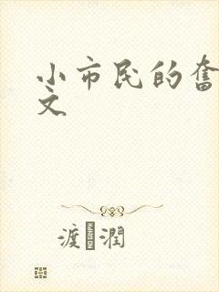 小市民的奋斗燃文