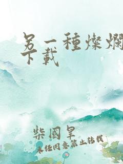 另一种灿烂生活下载