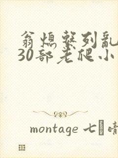 翁熄系列乱短篇30部老爬小说