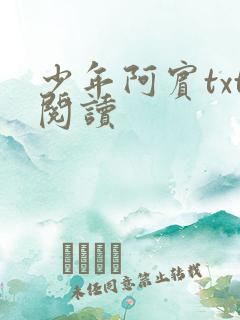 少年阿宾txt阅读