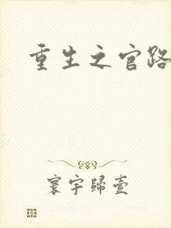 重生之官路风流