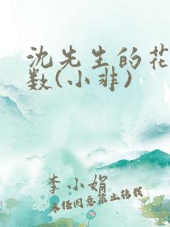 沈先生的花式调数(小非)