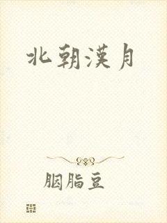 北朝汉月