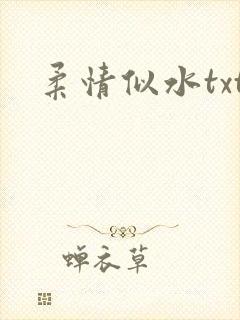 柔情似水txt