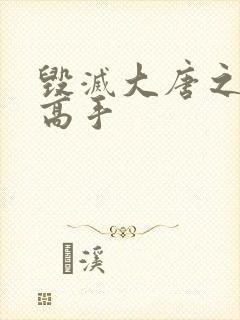 毁灭大唐之异能高手