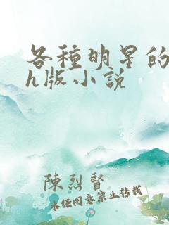 各种明星的综艺h版小说