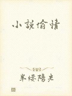 小说偷情