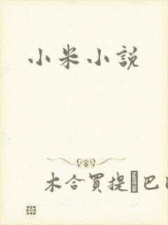小米小说