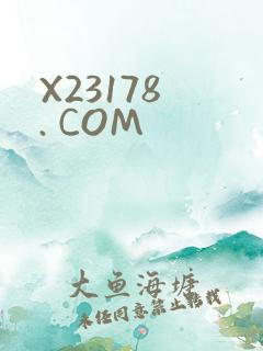 X23178 . COM