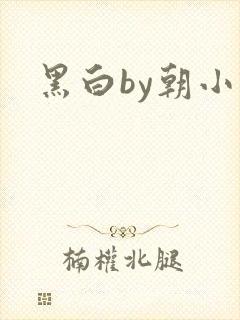 黑白by朝小诚