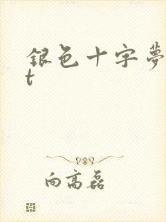 银色十字梦txt