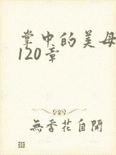 掌中的美母版主120章
