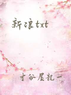 新浪txt