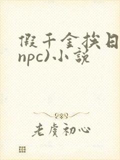 假千金挨日记(npc)小说