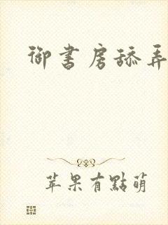 御书房舔弄花心