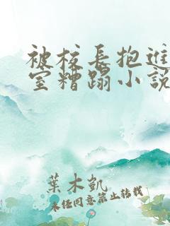 被校长抱进办公室糟蹋小说