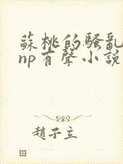 苏桃的骚乱文肉np有声小说