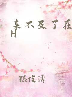 来不及了在车CH