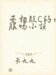 丞相朕C的你舒服吗小说