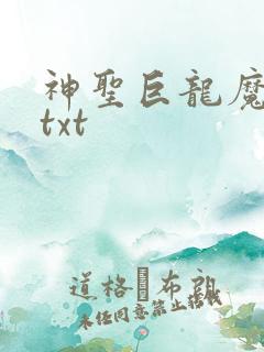 神圣巨龙魔法师txt