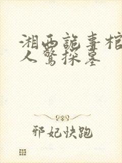 湘西诡事棺山道人惊探墓