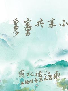 皇家共享小公主多男