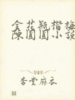 金花瓶楷梅花2陈圆圆小说